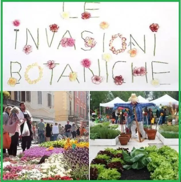cremona fiori - Quando ci sono le invasioni botaniche a Cremona
