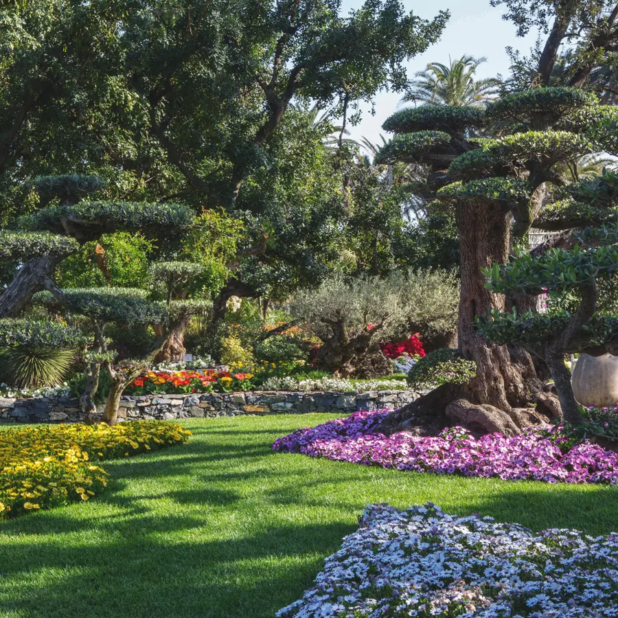 Fiori Genova: Scopri la bellezza e la varietà delle piante a Genova - Quando è EuroFlora fiori genova - Quando è EuroFlora