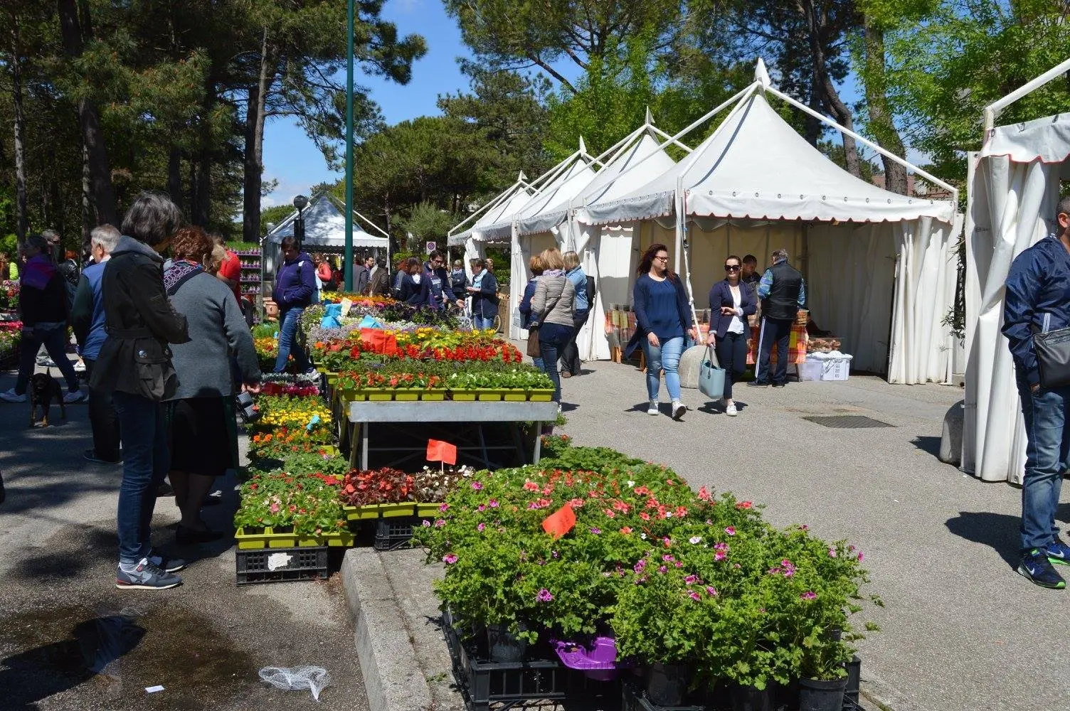 lignano in fiore - Quando è Lignano in Fiore