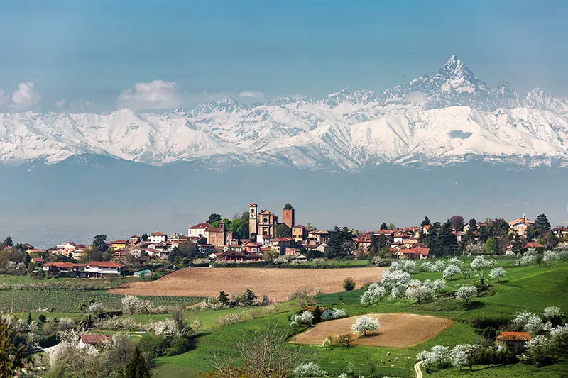 Quando fioriscono i ciliegi a Pecetto Torinese - Quando fioriscono i ciliegi a Pecetto Torinese pecetto ciliegi in fiore - Quando fioriscono i ciliegi a Pecetto Torinese