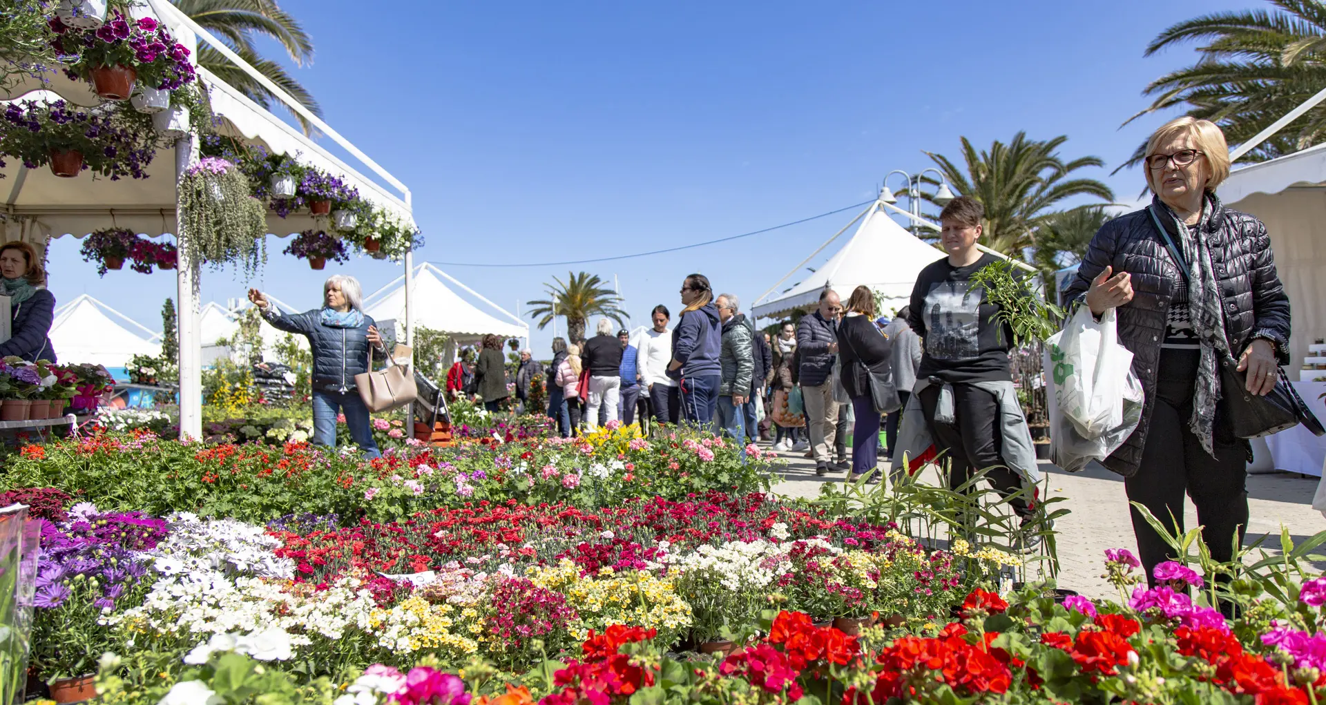 La Fiera del Fiore: un evento imperdibile a Pescara - Quando si fa la Fiera del fiore a Pescara fiera del fiore - Quando si fa la Fiera del fiore a Pescara