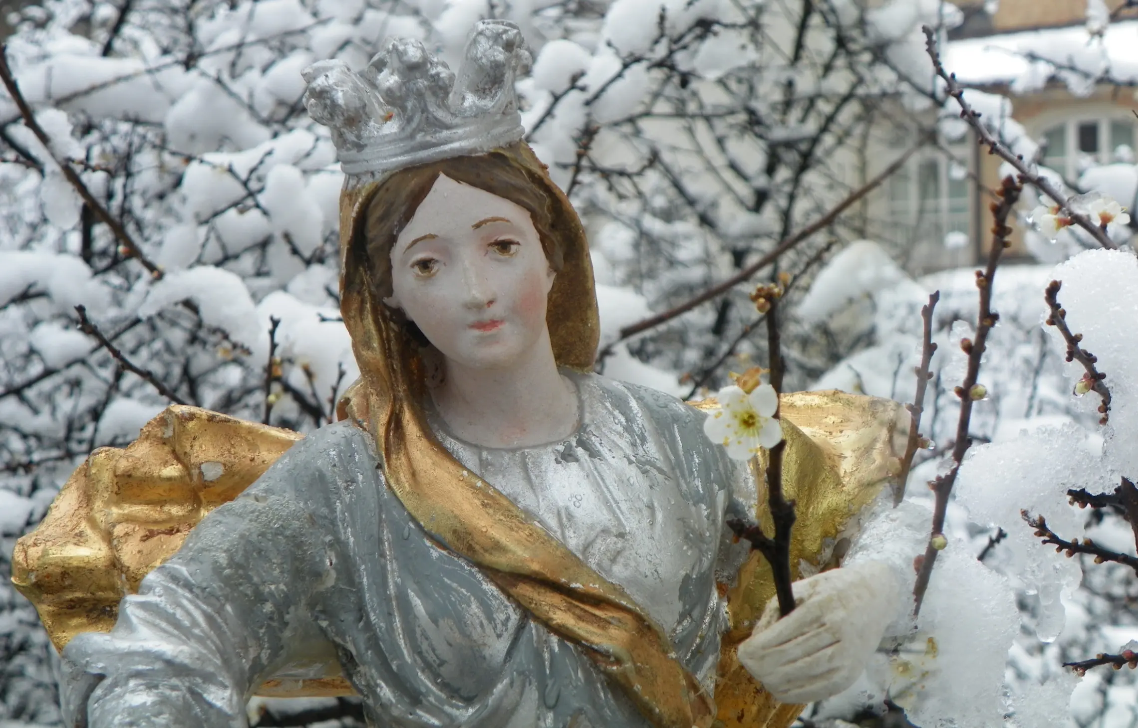 Madonna dei Fiori Bra: La storia e il culto della Madonna dei Fiori - Quando si festeggia la Madonna dei Fiori madonna dei fiori bra - Quando si festeggia la Madonna dei Fiori