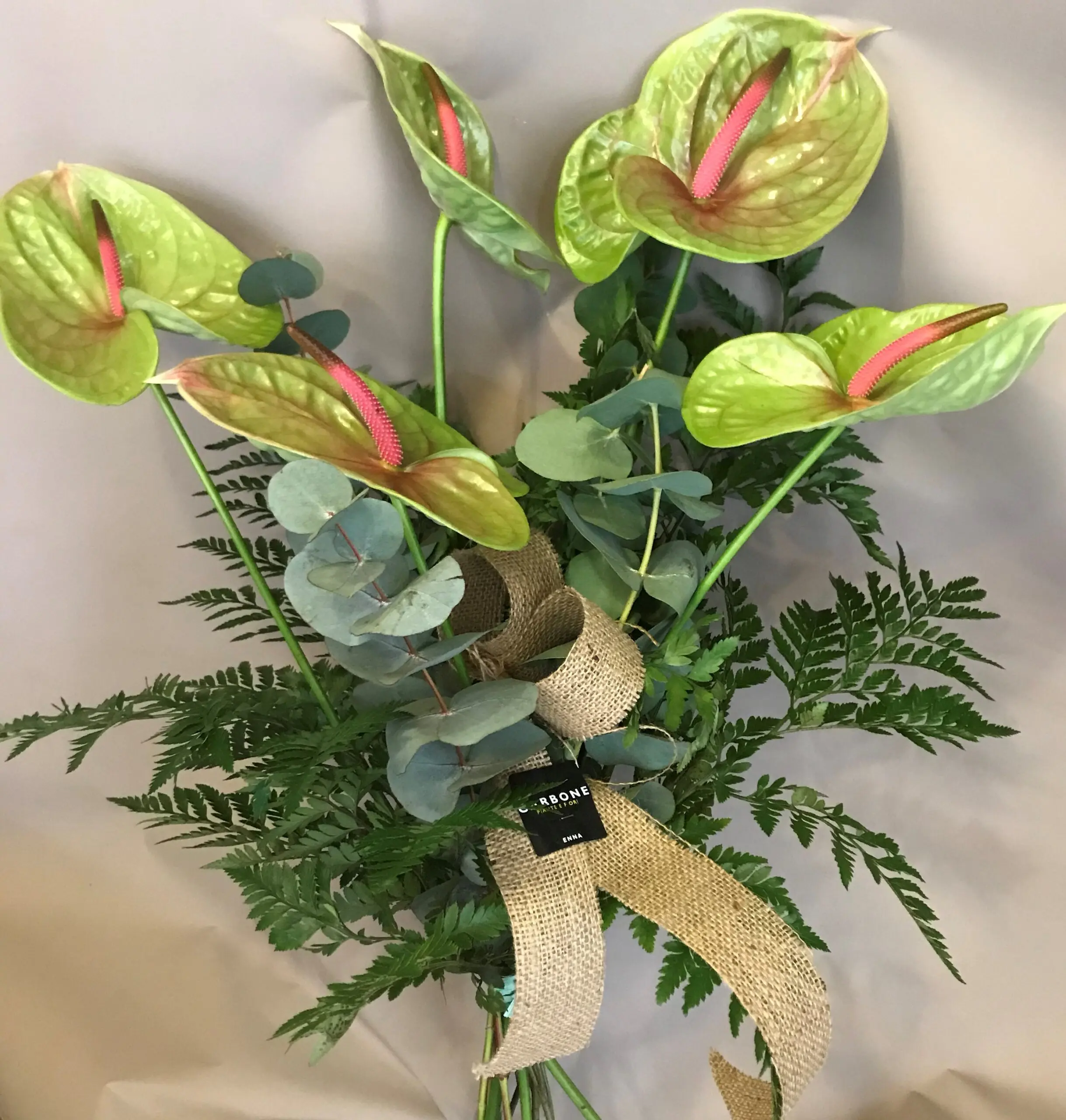 Anthurium Fiore Verde: Un tocco di freschezza per la tua casa - Quando si tagliano i fiori dell Anthurium anthurium fiore verde - Quando si tagliano i fiori dell Anthurium