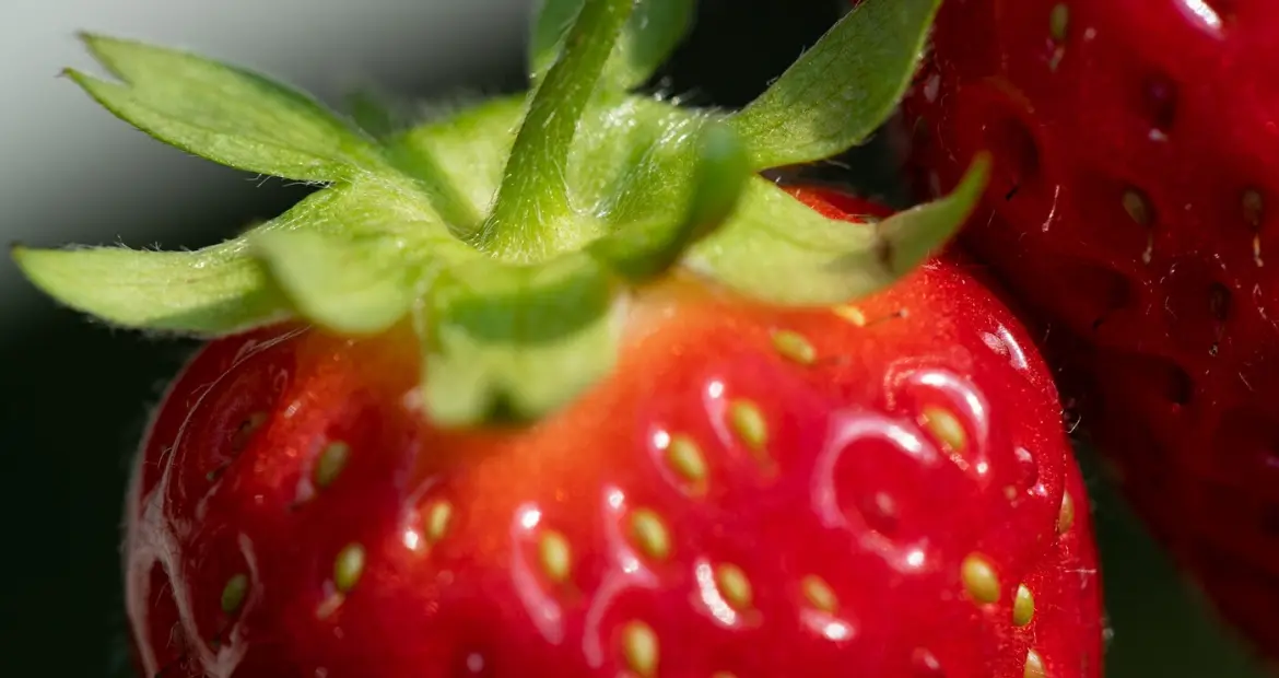 Fior di Fragola Calorie - Quante calorie ci sono in un etto di fragole fior di fragola calorie - Quante calorie ci sono in un etto di fragole
