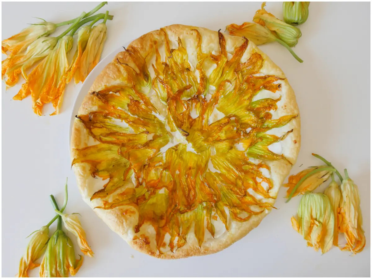 Quante calorie ha la torta salata fiori di zucca, ricotta e speck? - Quante calorie torta salata torta salata fiori di zucca ricotta e speck - Quante calorie torta salata