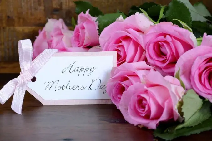 che fiori si regalano per la festa della mamma - Quante rose per la mamma