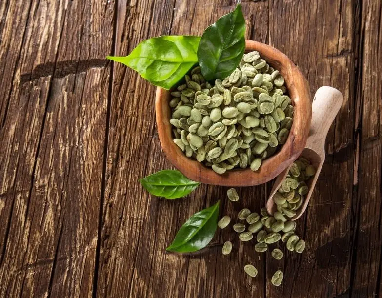 fiore pianta del caffe - Quante volte si innaffia la pianta del caffè