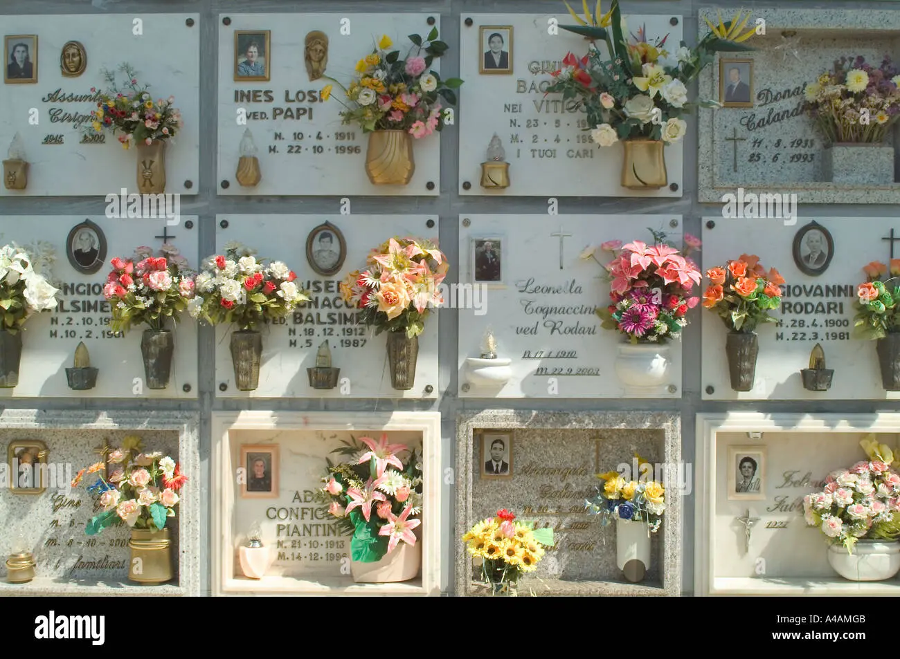 Fiori cimitero nomi: come scegliere i fiori adatti per commemorare i nostri cari - Quanti fiori si portano al cimitero fiori cimitero nomi - Quanti fiori si portano al cimitero