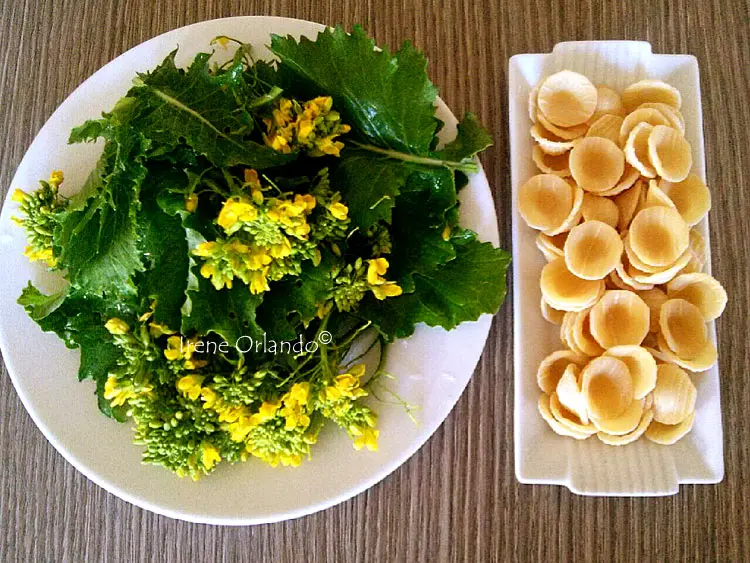 Cime di Rapa Fiore Giallo: Un'Esplorazione della Bellezza Floreale - Quanti sono i tipi di cime di rapa cime di rapa fiore giallo - Quanti sono i tipi di cime di rapa