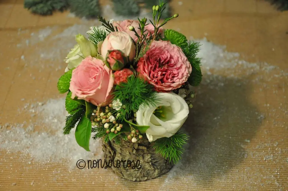 Fiori Betulle: Bellezza e Benefici - Quanti tipi di betulle ci sono fiori betulle - Quanti tipi di betulle ci sono
