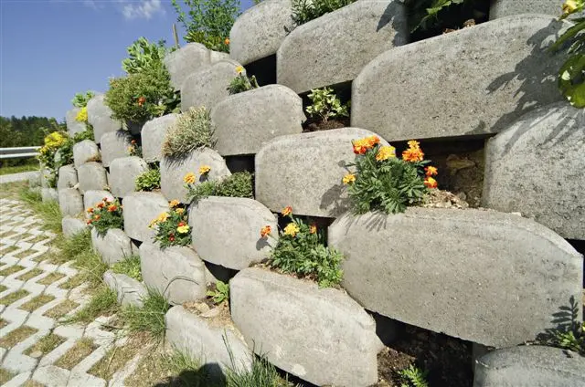 Prezzo Muri Fioriti: Guida completa con prezzi e consigli - Quanto costa fare un muro di 10 metri prezzo muri fioriti - Quanto costa fare un muro di 10 metri