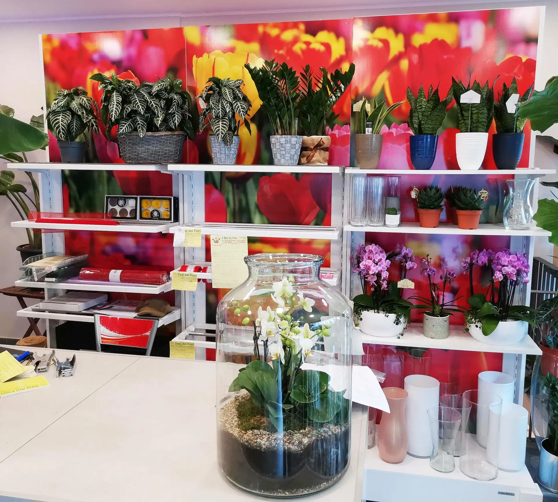 Oasi dei Fiori Milano: La tua destinazione per fiori freschi e bellissimi - Quanto costa un mazzo di rose a Milano oasi dei fiori milano - Quanto costa un mazzo di rose a Milano