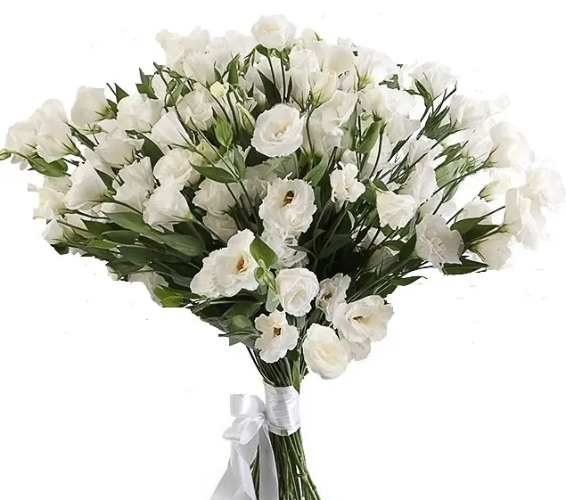 Fiori Lisianthus: La bellezza dei fiori che conquista il cuore - Quanto costa un ramo di Lisianthus fiori lisianthus - Quanto costa un ramo di Lisianthus