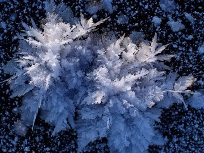 Fior Di Ghiaccio: Un Vino Erbaluce di Caluso da Provare - Quanto costa una bottiglia di Erbaluce fior di ghiaccio - Quanto costa una bottiglia di Erbaluce