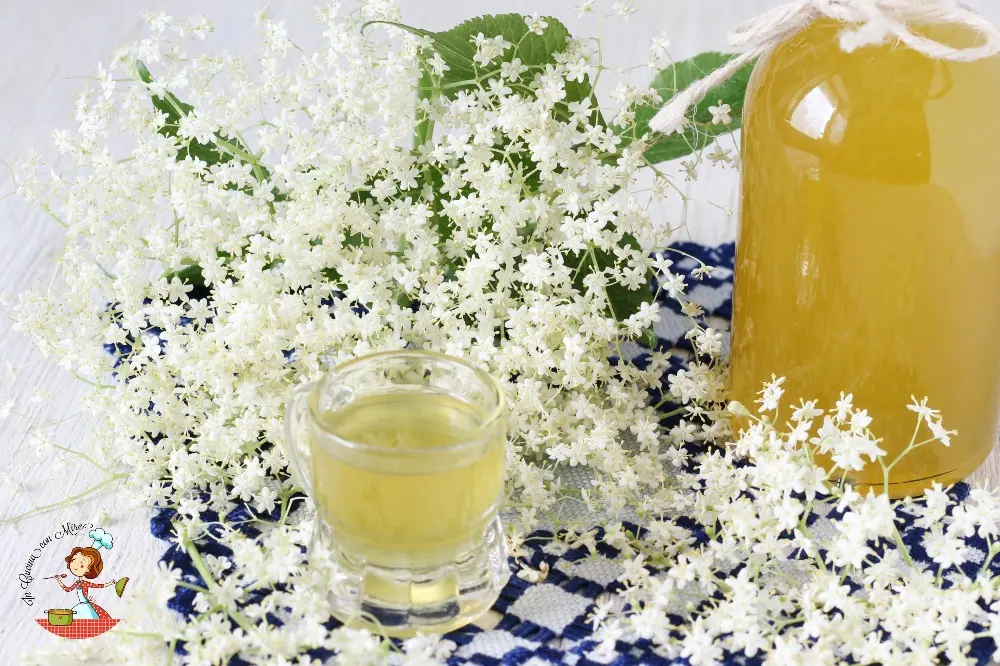 liquore al sambuco fiori - Quanto costa una bottiglia di sambuco