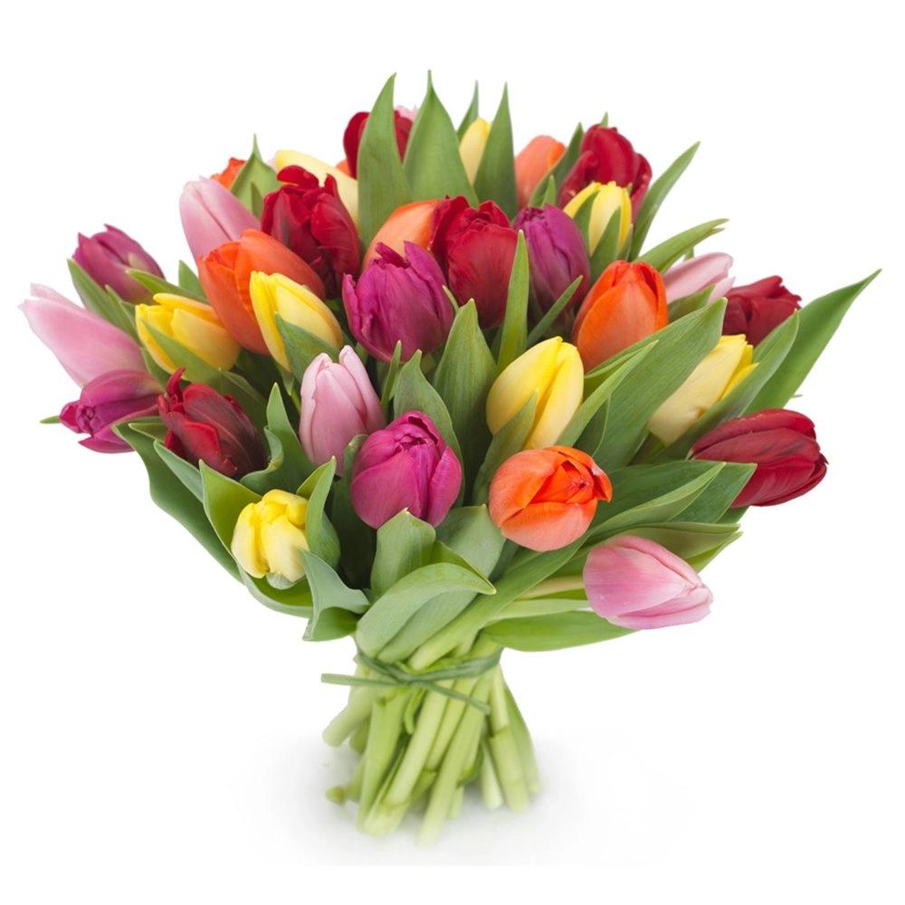 mazzo di fiori tulipani - Quanto costano 21 tulipani