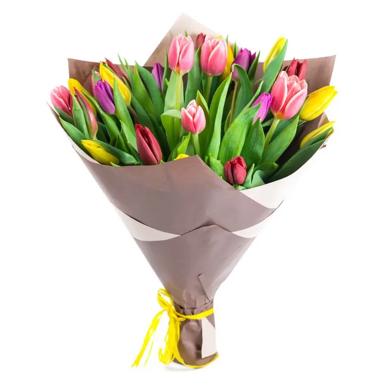 Mazzo di tulipani: simbolo di bellezza e amore