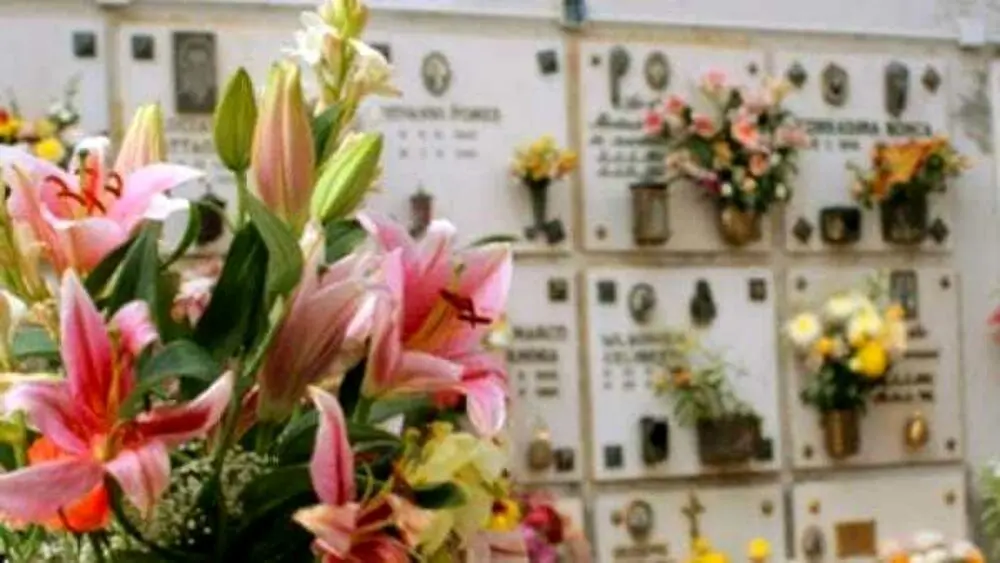 Quanto costano i fiori per il cimitero - Quanto costano i fiori per il cimitero fiori da cimiteri - Quanto costano i fiori per il cimitero