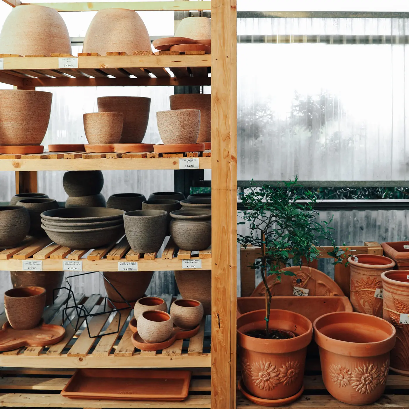 Guida alla scelta del vaso perfetto per le tue piante