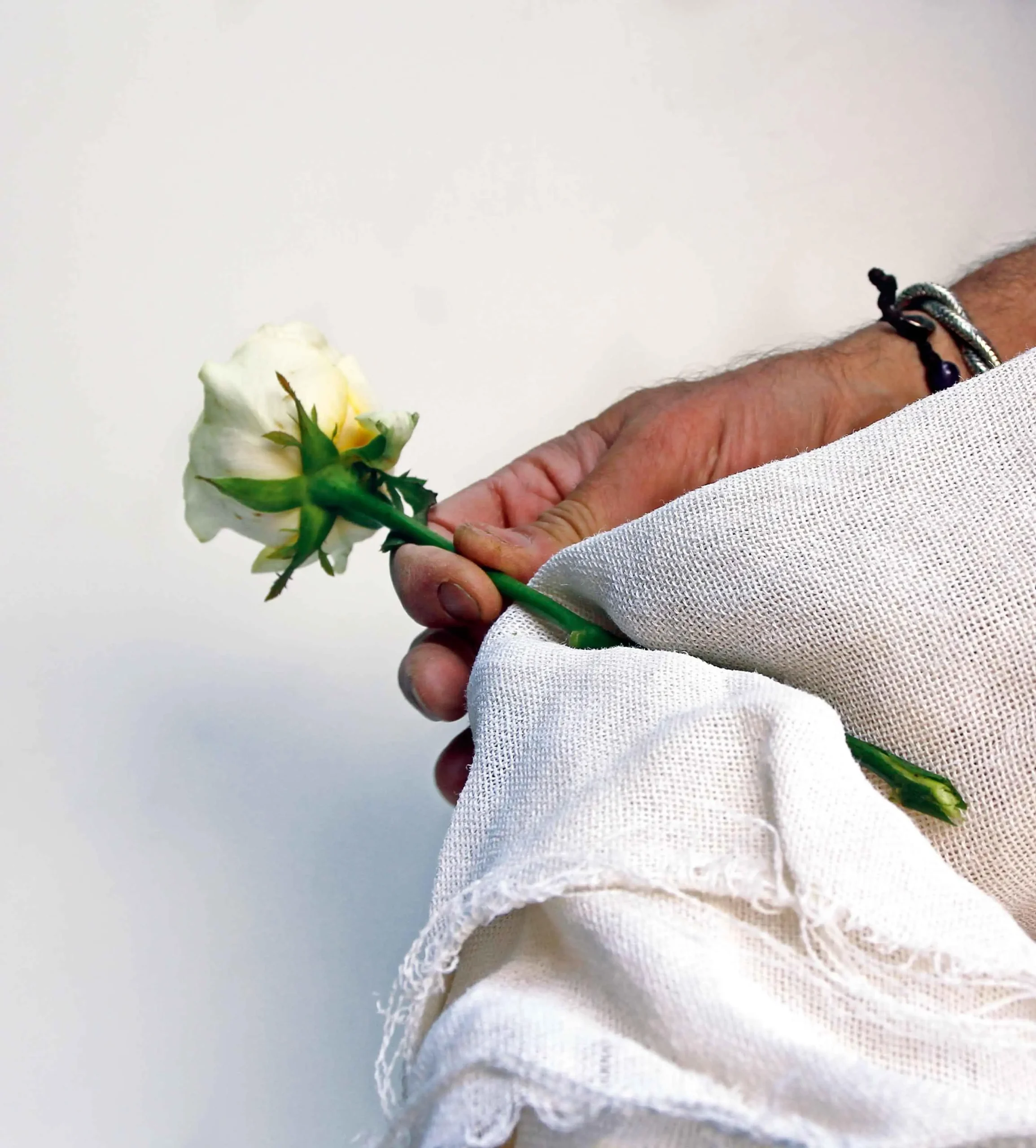 Stabilizzare Fiori: Tutto ciò che devi sapere sulla Stabilizzazione Vegetale - Quanto dura un fiore stabilizzato stabilizzare fiori - Quanto dura un fiore stabilizzato