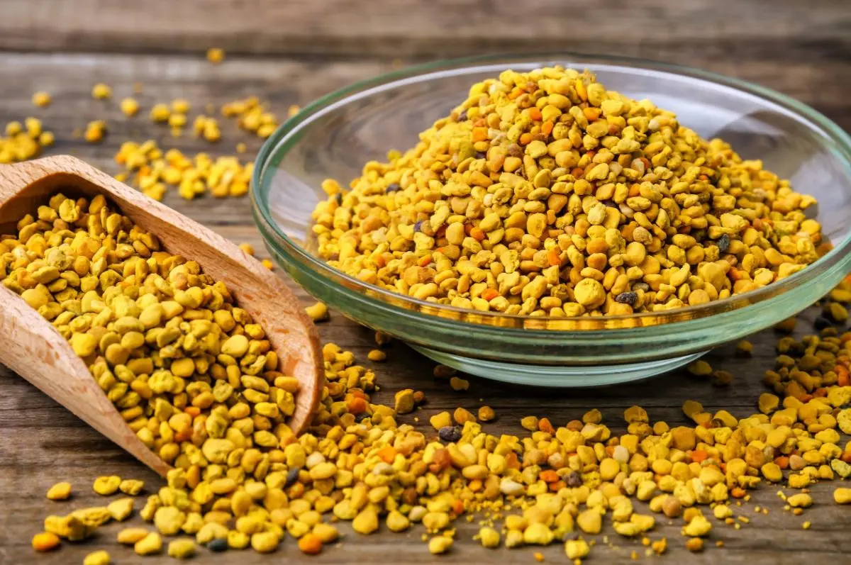 polline di fiori benefici - Quanto polline si può mangiare al giorno