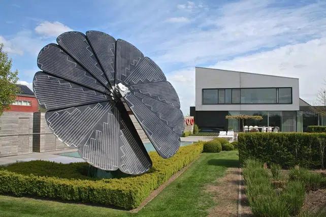 Girasole fiore fotovoltaico prezzo: il futuro dell'energia sostenibile - Quanto si guadagna da un ettaro di fotovoltaico girasole fiore fotovoltaico prezzo - Quanto si guadagna da un ettaro di fotovoltaico