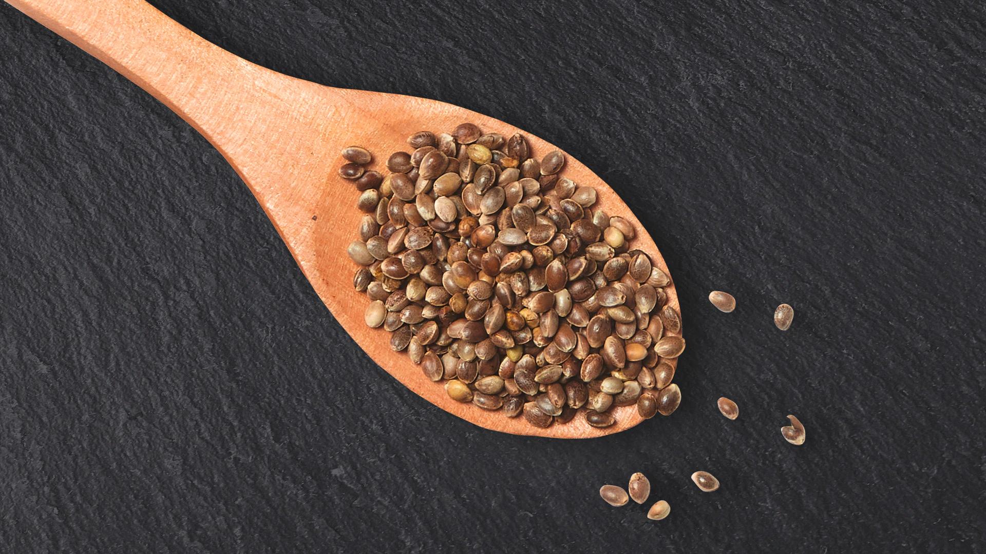 Pianta Ceci Fiori: Un legume versatile e nutriente - Quanto tempo ci vuole per germogliare i ceci pianta ceci fiori - Quanto tempo ci vuole per germogliare i ceci